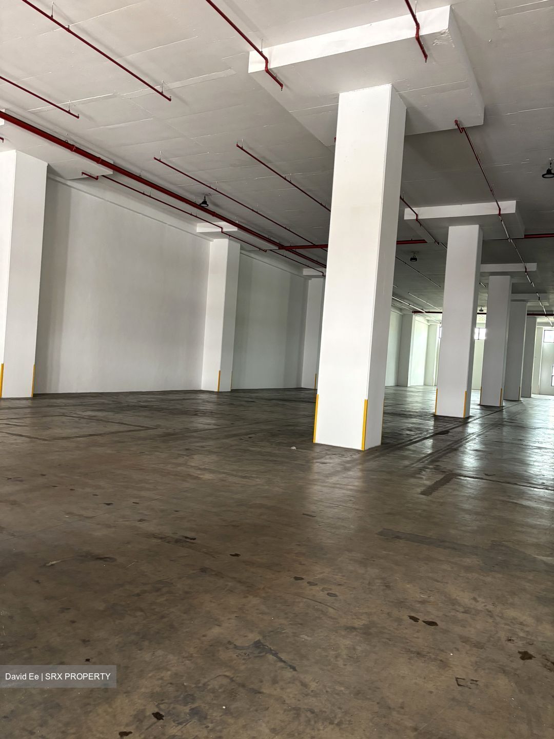 Penjuru Lane (D22), Warehouse #501660711
